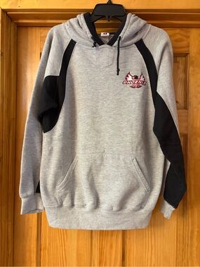 Phoenix Gray & Black Men's Pullover Hoodie